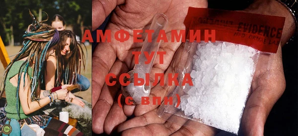 индика Кадников